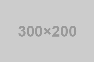 tpl-banner_dummy_300x200.gif
